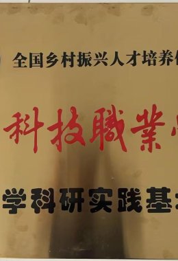 Honors and Qualifications