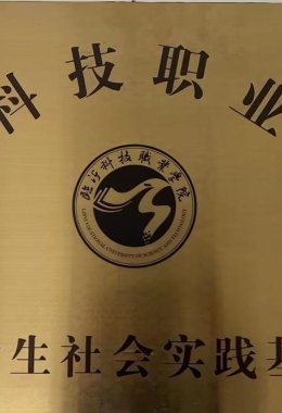 Honors and Qualifications