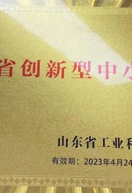 Honors and Qualifications